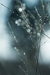 国产游戏《群星守卫》吸引老外关注：女主很漂亮